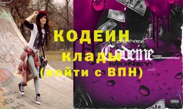 шишки Белокуриха