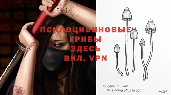 бошки Беломорск