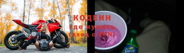 шишки Белокуриха