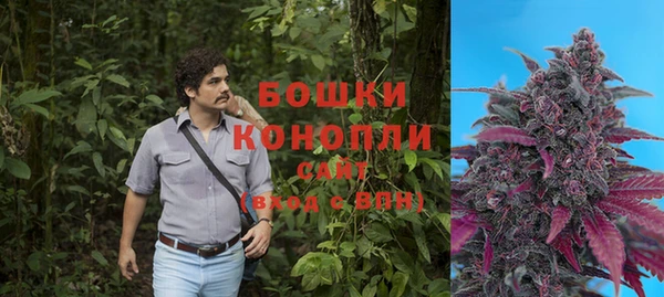 гашик Балахна