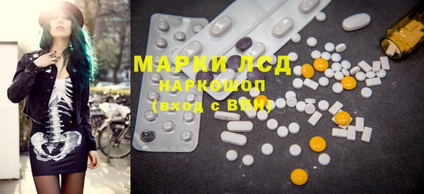 шишки Белокуриха
