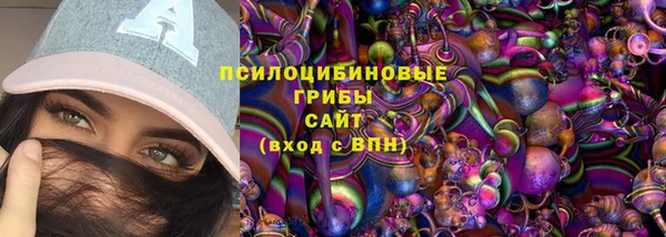 дмт Богданович