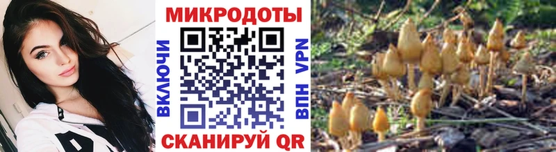 Галлюциногенные грибы мицелий  KRAKEN ССЫЛКА  Бугульма 
